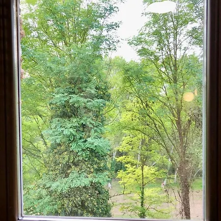 Mas El Conier Casa rural *
